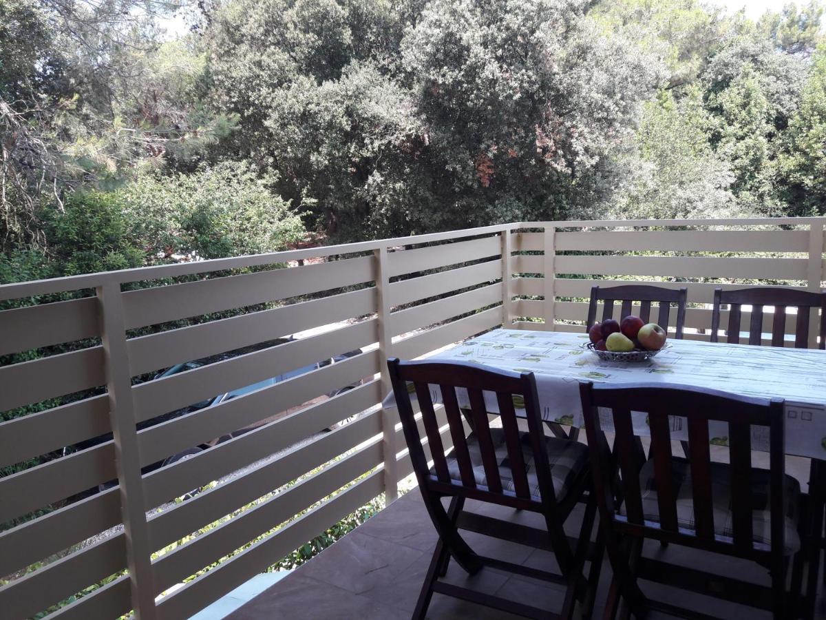 Apartman Samsa - Borik